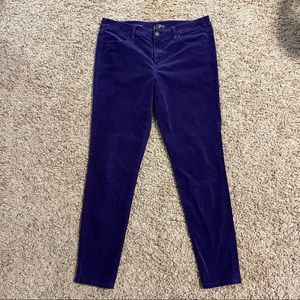 Loft Super Skinny Lightweight Corduroy Purple Pants Sz 30 /10